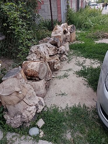 куриные головы: Дрова Самовывоз — 2