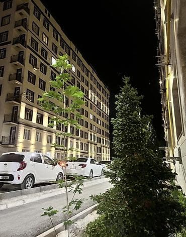 2 комнаты, 59 м², Шлагбаум Элитка, 9 этаж, ПСО (под самоотделку) — 3