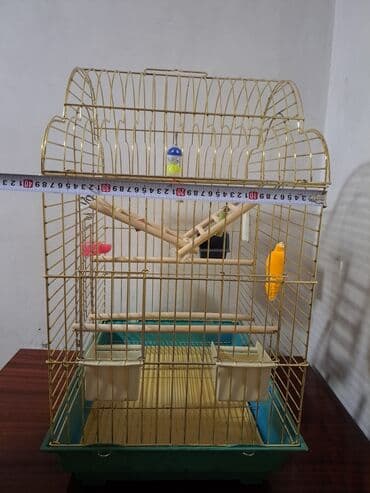 акустические системы atrix колонка в виде собак: Продаю клетку. Высота 70см.Ширина 50*40см.б/у. В хорошем состоянии — 3