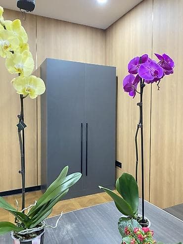 2 ярусный: Шкаф для офиса/дома, 2‑дверный, современный минимализм. - Цвет — 2