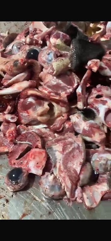 продам мясо: Головные обрезки для собак Мясо для собак голова говядины без жира — 1