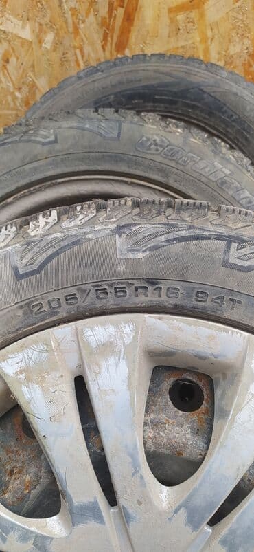 шипы для шины: Шины 205 / 55 / R 16, Зимняя шипованная, Б/у, Комплект, Легковые, Россия, Cordiant — 3