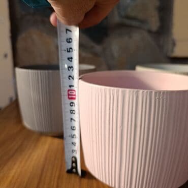 декоративная зелень: Декор для дома и сада, Кашпо и цветники, Самовывоз — 4