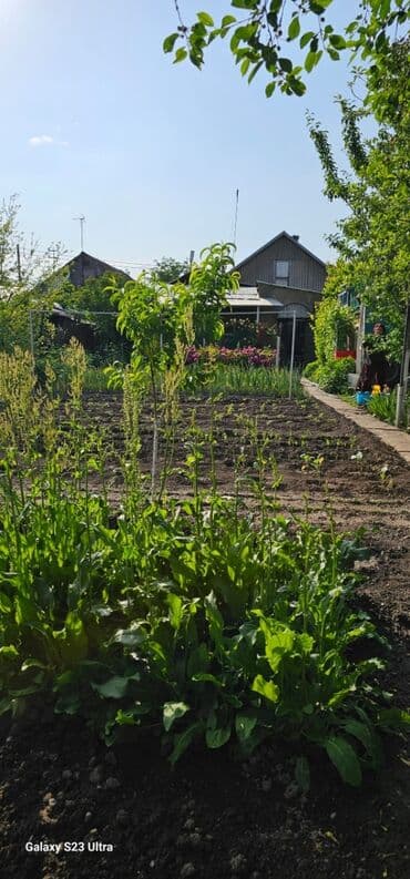 продажа домов маевка: Дом, 80 м², 6 комнат, Собственник, Евроремонт — 4