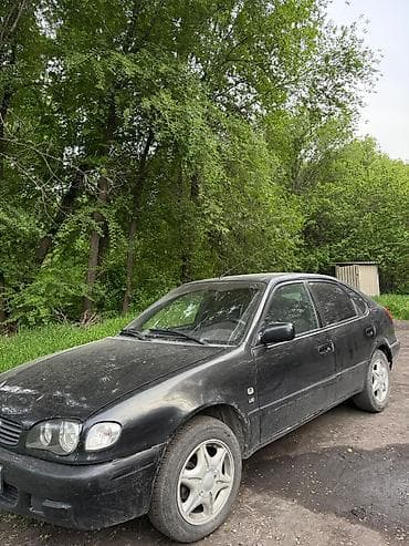 5: Toyota Corolla: 2000 г., Ручные, Бензин, Хэтчбэк — 3