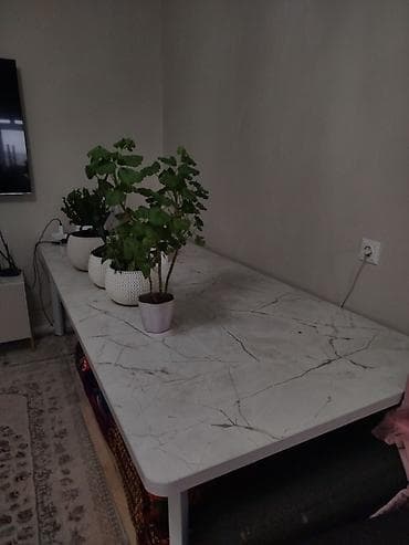 Стол для зала, Б/у, Не раскладной, Прямоугольный