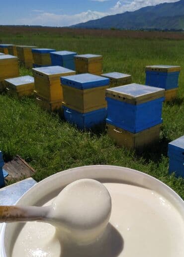 баночки для меда бишкек: Продаем мёд крупным и мелком оптом от производителя. Горный мёд — 1