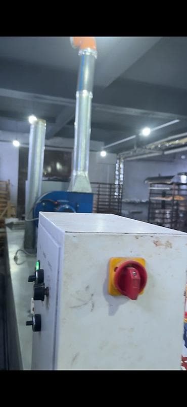 Өндүрүш үчүн жабдуулар: Туннельная печь для выпечки печенья/кондитерских изделий Описание: - — 4