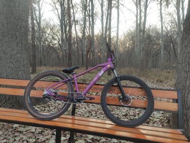 запчасти для велосипедов: Горный велосипед, Рама L (172 - 185 см), Алюминий, Б/у — 7