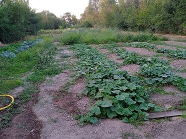 продаю дом бишкек квартира: Времянка, 53 м², 3 комнаты, Собственник — 18