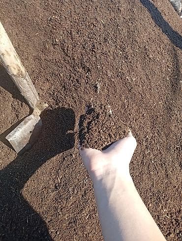 навоз в мешках бишкек: Перегной в мешках, сеянный, пятилетней выдержки доставка от 12 - 15 — 1