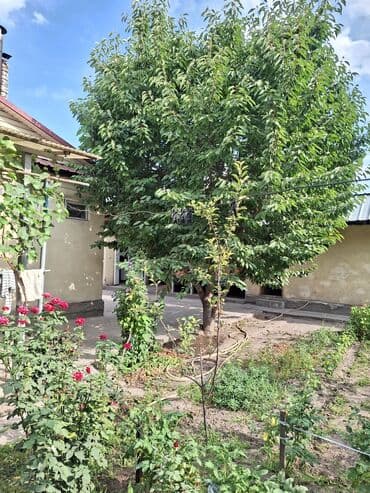 продаю дом г ош: Үй, 65 кв. м, 4 бөлмө, Риелтор, Косметикалык оңдоо — 13