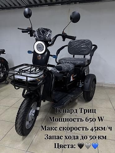 ролер: Электротрицикл Гепард Триц - Мотор: 650 W - Максимальная скорость: до — 1