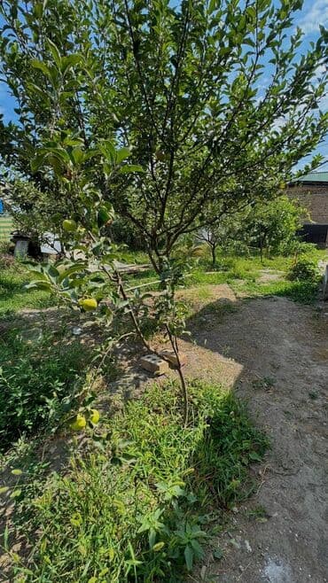 дом в константиновка: Үй, 74 кв. м, 5 бөлмө, Менчик ээси, Косметикалык оңдоо — 9