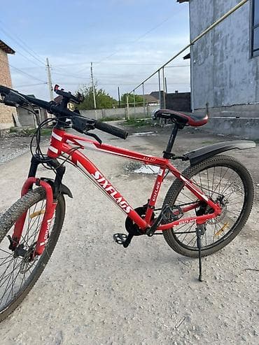 speedone frame: Горный велосипед, Алюминий — 1