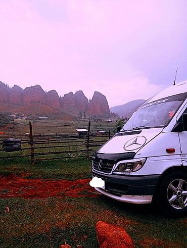 Mercedes-Benz Спринтер: 2002 г., 2.2 л, Механика, Дизель, Бус — 2