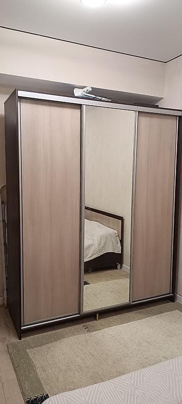 Шкаф купе, С зеркалом