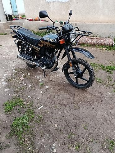 мотор на мопед: Мотоцикл дорожный/утилитарный GS-200CC (табличка на баке и боковинах) — 2