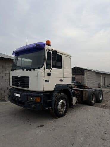 матур стук: Тягач, MAN, Без прицепа — 2