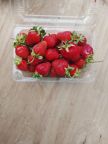 Продукты питания: Клубника Альбион — 3