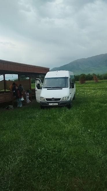 спиринтер бутка: Баруучу жер: Бардык багыттар, Орундардын саны: Башка сан — 6