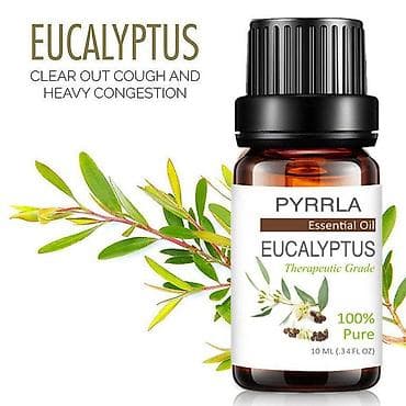 Коляски: Эфирное масло Эвкалипта, аромат, ароматерапия, снятие стресса — 1