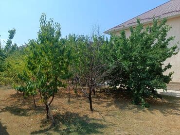 снять большой дом на сутки: 288 м², 5 комнат — 29