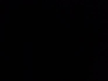 той терьер мини: Немецкая овчарка, 3 месяца, Самка, С прививкой — 1