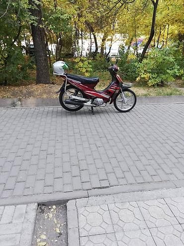 мопед карпаты купить: Продаётся компактный мопед в классическом городском исполнении — 1