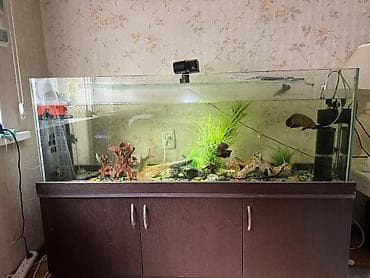 аэрация: Большой комплект аквариума с тумбой и оборудованием - Прозрачный — 2