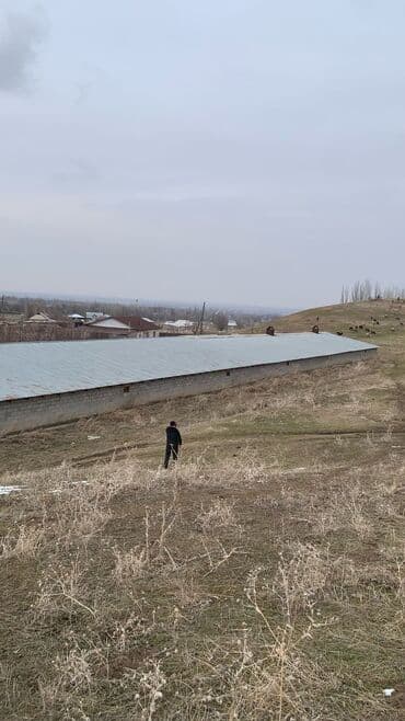 участок сатылат сокулук: 🔥 ПРОДАЁТСЯ🔥 Кашара+дом с плодоносным садом Участок 1,40га в селе — 2