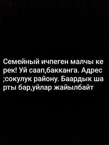 Работа: Семейный ичпеген малчы(скотник) керек, жумуш круглый год, айлык оз — 1
