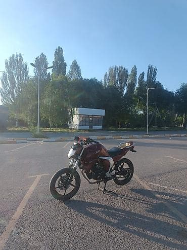 продаю гос номер сертификат: Naked Yamaha, 250 куб. см, Бензин, Взрослый, Б/у — 6