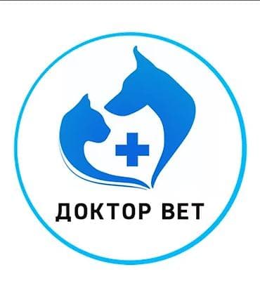 Ветеринар на выезд всех видов животных 24/7 Диагностика Лечение