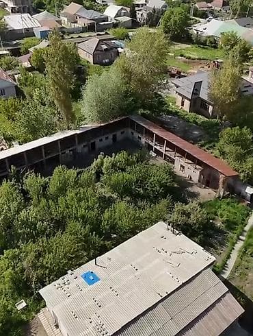 ысык куле: 23 соток, Кызыл китеп — 5