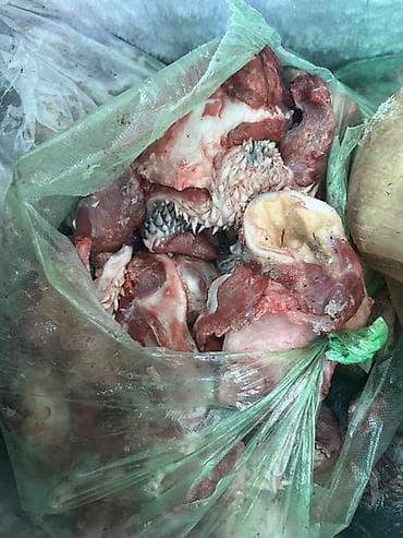 Головные обрезки для собак Мясо для собак голова говядины без жира