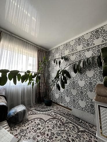 сколько стоит лабуба: Крупное комнатное растение в кадке - Вид: фикус эластика — 3