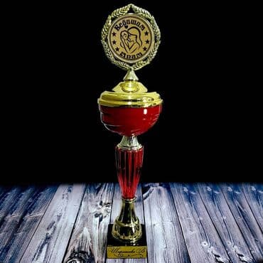 продаю медали: Кубок с гравировкой, любой логотип и любой текст входит в стоимость — 5