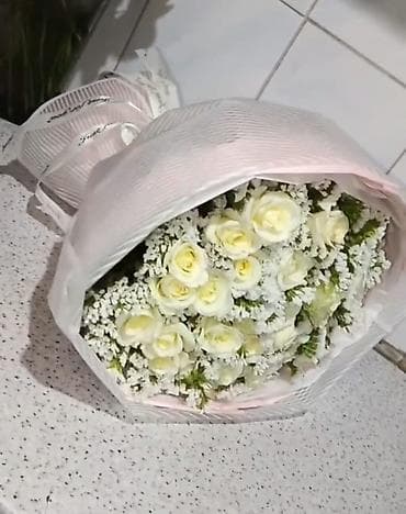 продаю мёд: Саженцы — 3