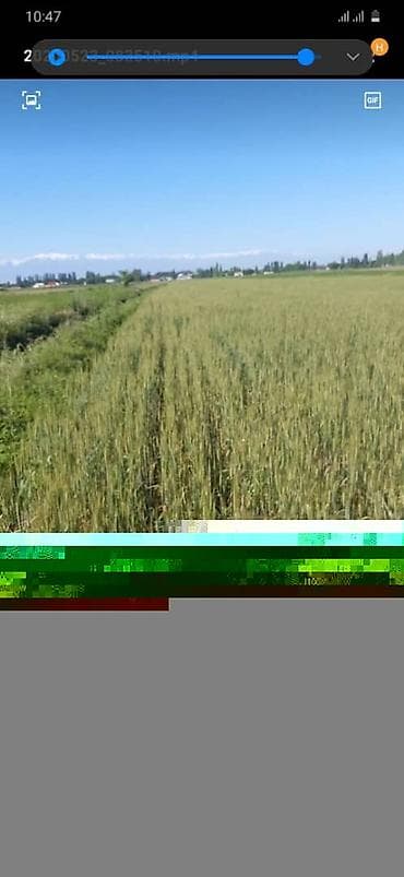 открытый: 4000 соток, Для сельского хозяйства, Договор дарения — 1