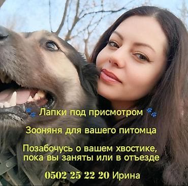 ищу няня: 🐾Лапки под присмотром — забота, как для своих!🐾 Я приходящая няня для — 1