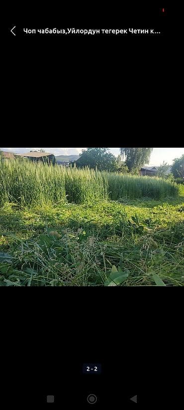 косим травы: Уборка территории, Стрижка газона — 2