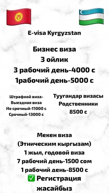 Виза+Регистрация Оформление e-visa Kyrgyzstan (Кыргызстан/Узбекистан)