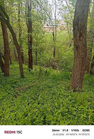 участок фурхат: Село Сарбан,
джал улица средняя 24 (автобус 23) — 5