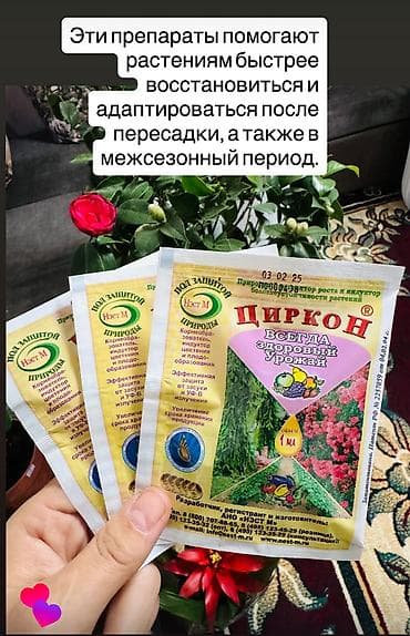 саше: Циркон — природный регулятор роста и антистрессант для комнатных — 1