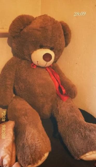 Мишка 140см рост за будет еще торг at lalafo.kg Мишка 140см рост за будет еще торг