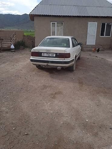 решетки для: Audi 100: 1992 г., Седан — 3