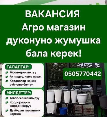 Агро магазинге жумушчуларды кабыл алабыз! at lalafo.kg Агро магазинге жумушчуларды кабыл алабыз!