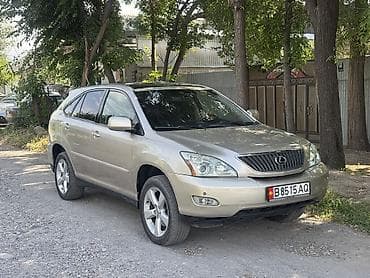 ls 400: Lexus RX: 2004 г., 3.3 л, Автомат, Бензин, Кроссовер — 1