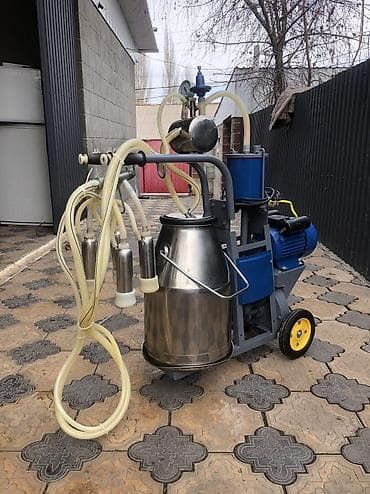 новый станок: Продаю китайский доильный аппарат в идеальном состоянии пользовались — 5